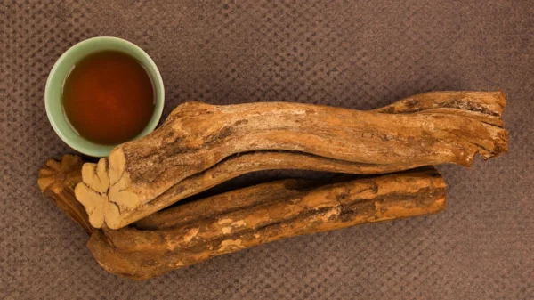 Buy Ayahuasca online usa, order Ayahuasca online from secure and reliable online supplier at good price with secure home delivery.order today with bitcoins.